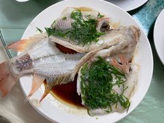 -苏记农家菜馆