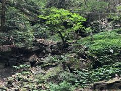 -藏龙百瀑风景区