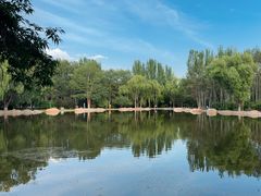 -阿尔丁植物园