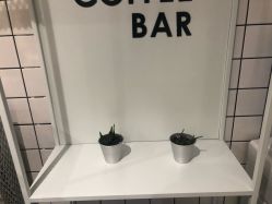 -AYO SALON