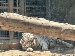 -济南野生动物世界