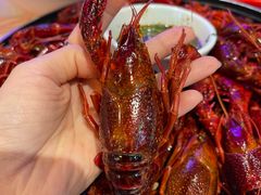 -霸王虾·麻辣小龙虾(清水河公园店)