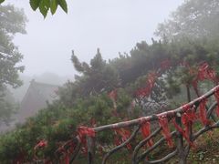 -沂蒙山旅游区云蒙景区(蒙山国家森林公园)