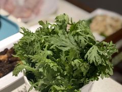 皇帝菜-百年果林椰子鸡(中洲店)