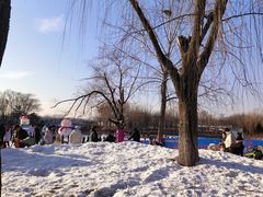 -大兴滨河森林公园