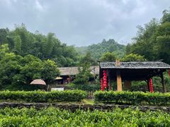 -常德桃花源景区