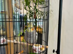 -阜昌典当行(阜成门店)