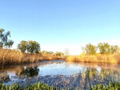 -大兴滨河森林公园