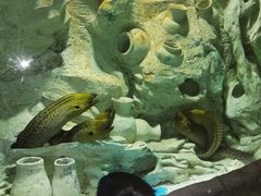 景点-威海华夏城景区