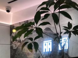 -LJOY丽锦造型·烫发染发