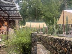 -MOJ coffee(瓯海泽雅水碓坑店)