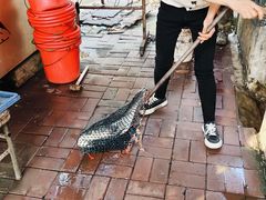 -水库活鱼馆(于桥水库店)