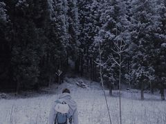 -武陵山森林公园