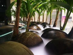 -凤园椰珍·臻品椰子鸡(保利时光里店)