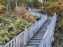 -帽儿山国家森林公园