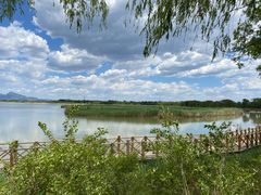 -野鸭湖国家湿地公园