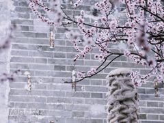 -北海公园