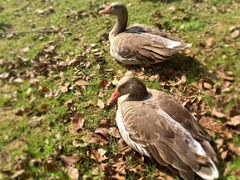 -艾溪湖湿地公园