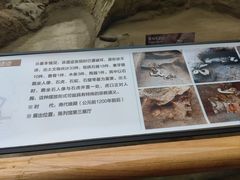 -金沙遗址博物馆
