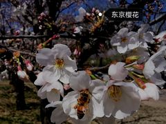 -国家植物园南园