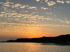 -莲花岛景区