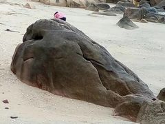 -那琴半岛地质海洋公园