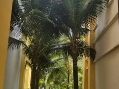 -富国岛翡翠湾 JW 万豪度假酒店