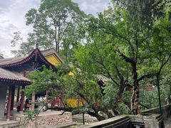 -华清宫景区