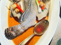 -南海渔村·徐博馆(琶洲店-粤菜养生宴)