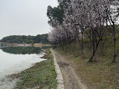 -美兰湖景区