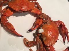 -海味当家·蒸锅海鲜(星海公园店)
