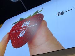 -树夏(建设路店)