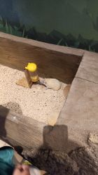 -Mr·Kuma酷么先生雪之乐园