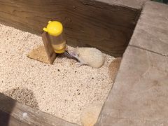 -Mr·Kuma酷么先生雪之乐园