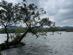 -浙江西子宾馆·牡丹厅