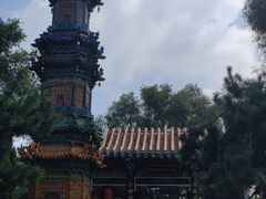 -沈阳植物园