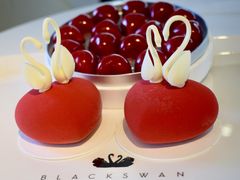 -BLACKSWAN黑天鹅(环球店)