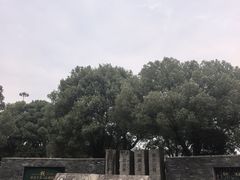 -桐乡植物园