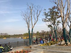 -上海长兴岛郊野公园