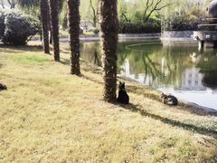 -唐城墙遗址公园