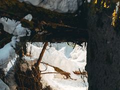 -峡谷浮石林景区