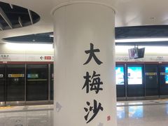 -大梅沙海滨公园