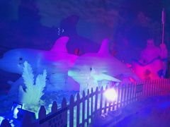 -世界之窗阿尔卑斯冰雪世界
