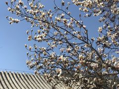 -北京宽沟会议中心