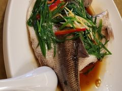 -婆婆家·湛江特色美食(福田振华路店)