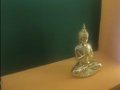 -泰古龙拨筋·spa按摩(成都环球汇店)