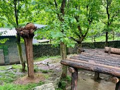 -都江堰中华大熊猫苑