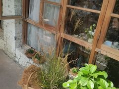 -Jo's Garden