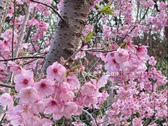 -梁鸿国家湿地公园