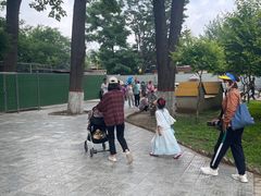 -保定市动物园